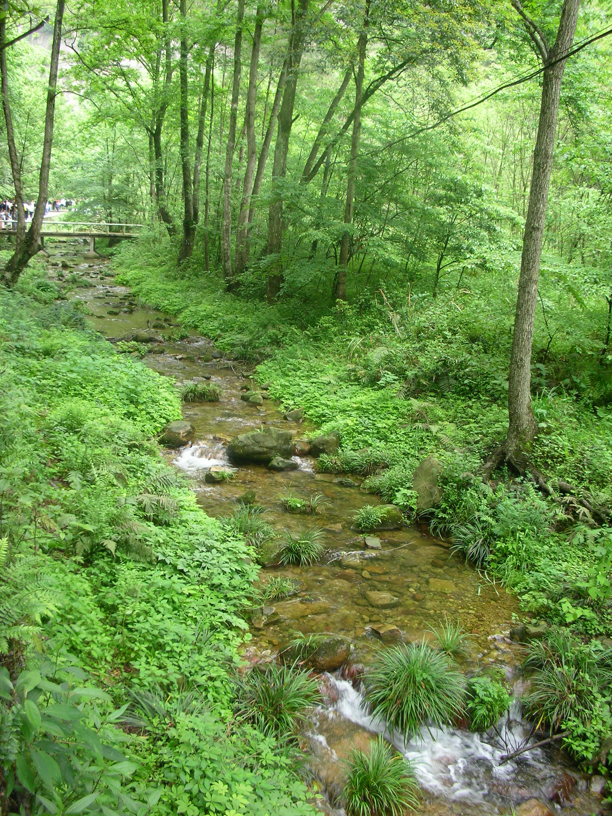 DSCN0796.JPG
