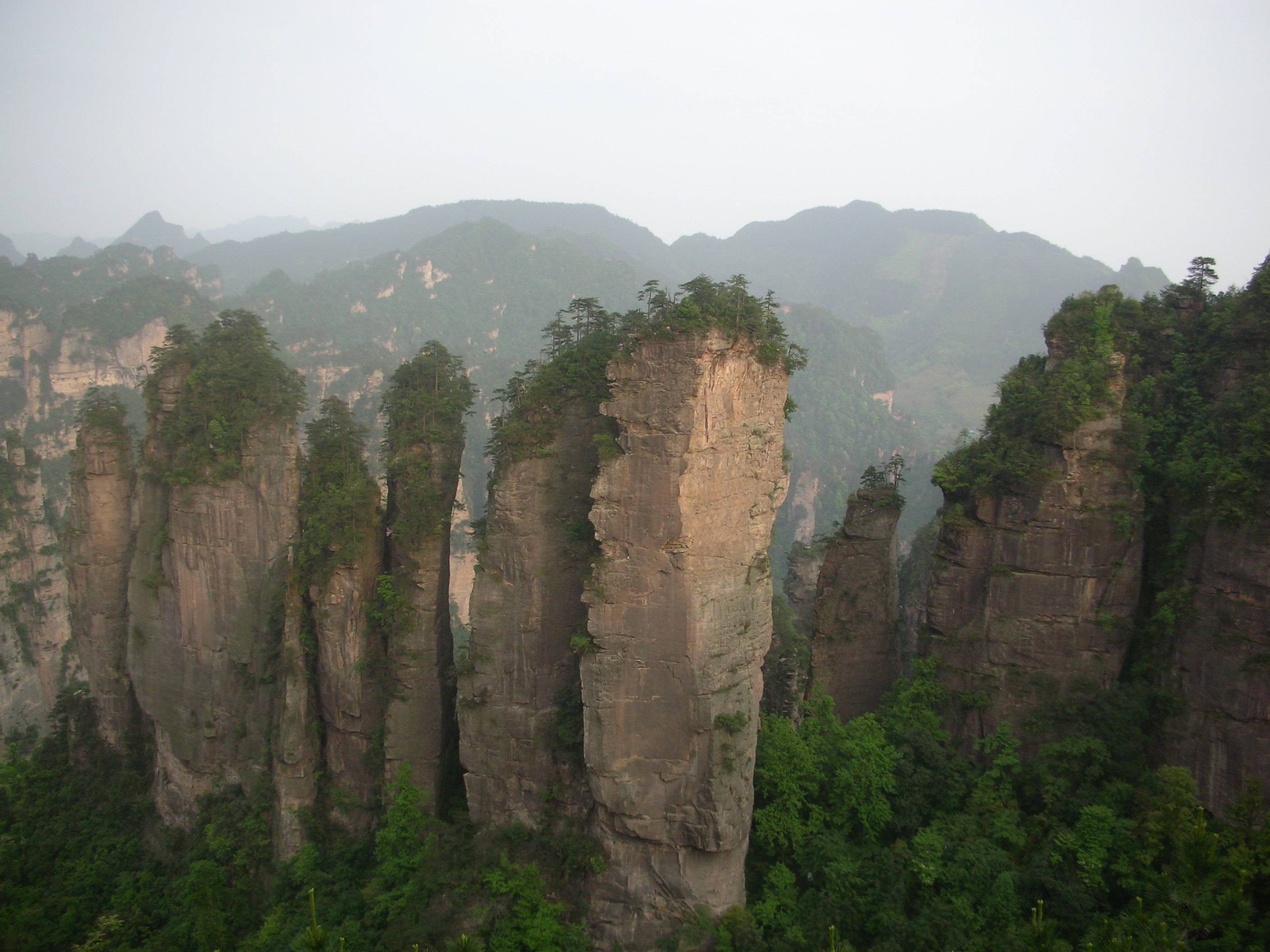 DSCN0835.JPG
