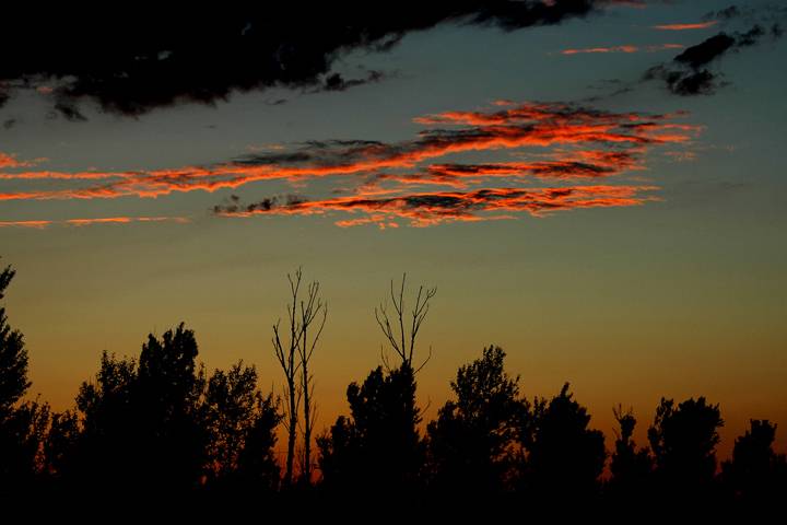 DSC_0208 .jpg