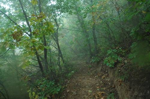DSC_1492.jpg