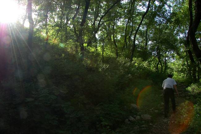 08.jpg
