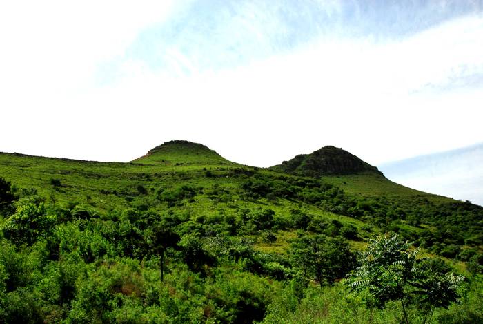 DSC_41906.jpg