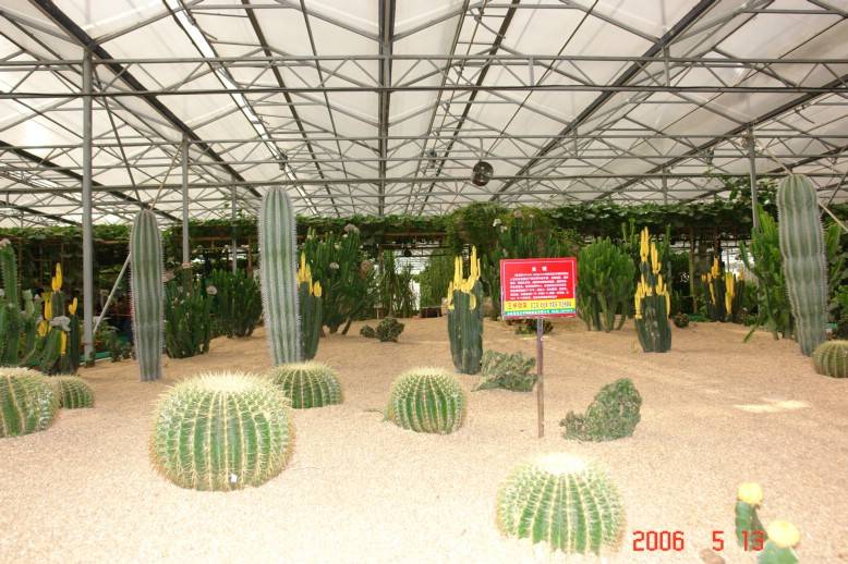 1303_.JPG