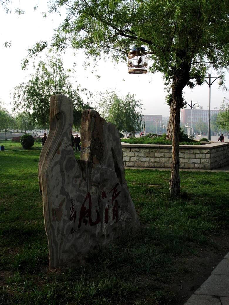 a1.jpg