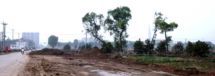 L1010858.JPG