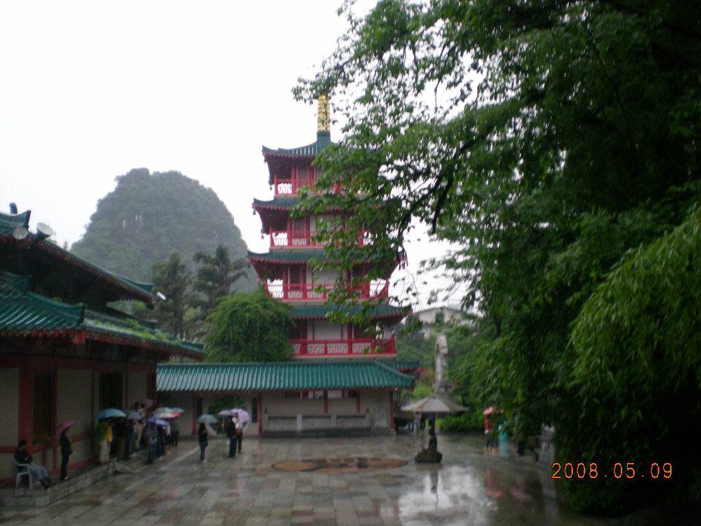 252.JPG