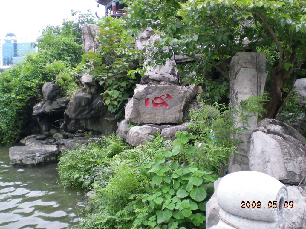 316.JPG