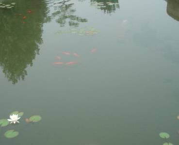 20080621_ae44f6352311ec7c0963PPQZ2Nf7OQwt.JPG