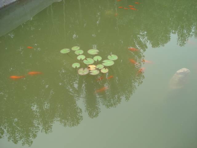 DSC00935.JPG