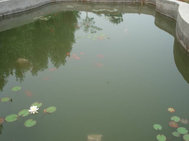 DSC00933.JPG