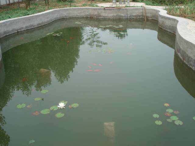 DSC00934.JPG
