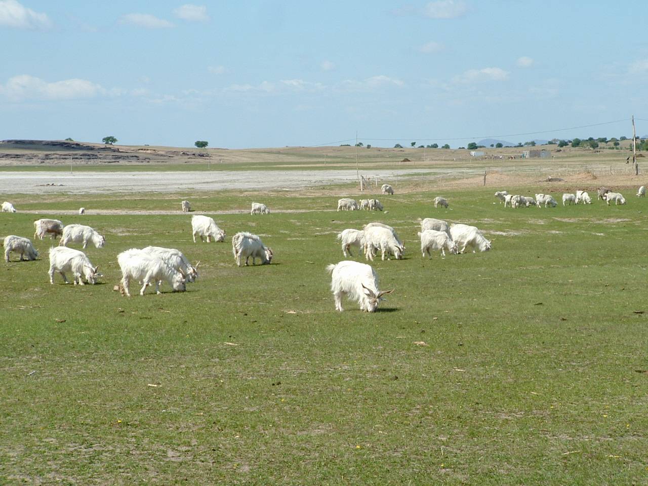 DSCF0022.JPG