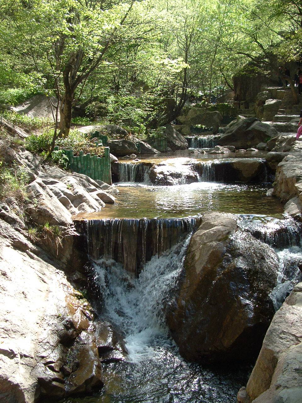 DSCF0090.JPG