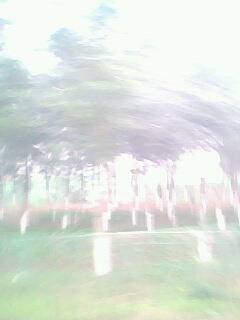 IMG0043A.jpg
