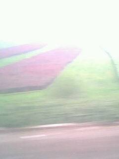 IMG0042A.jpg