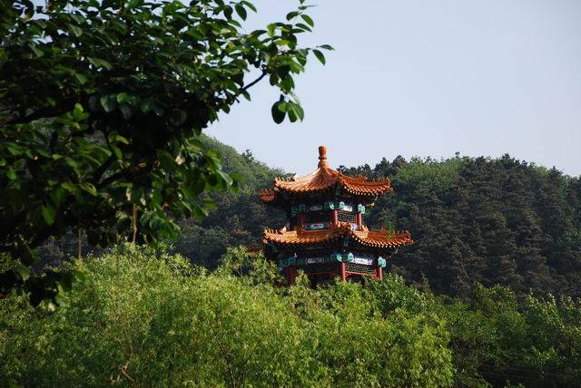С DSC_0514.JPG