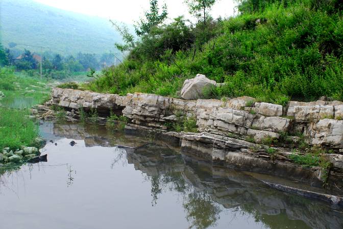 DSC_0954.jpg
