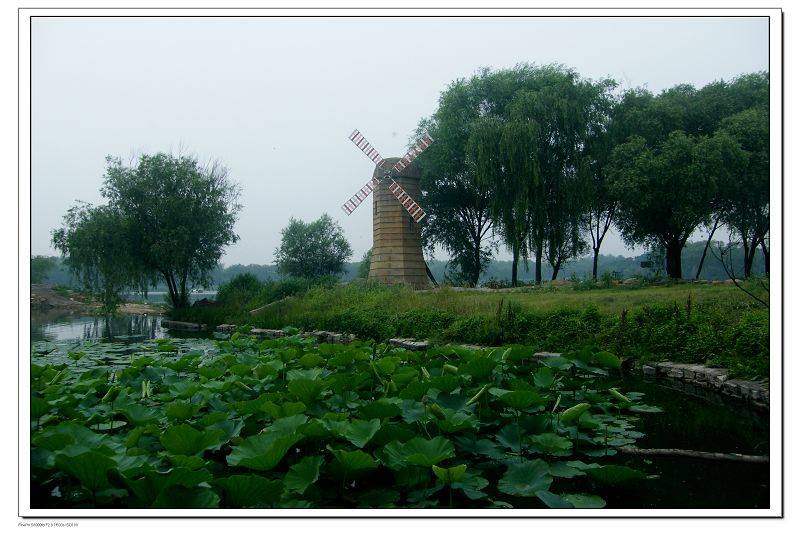 DSCF2628.jpg