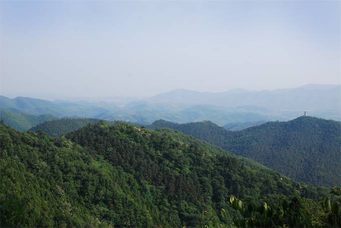 С DSC_0480.JPG