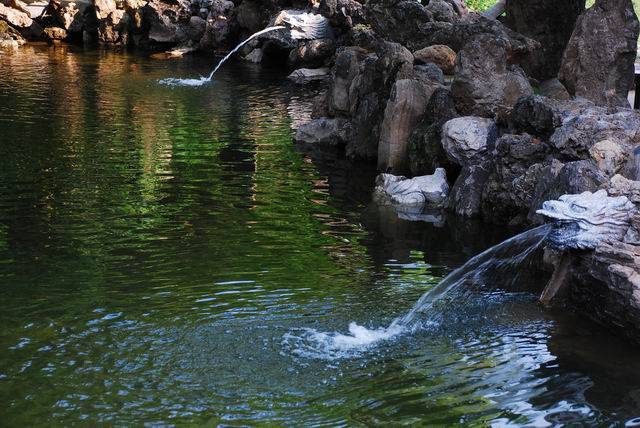 С DSC_0487.JPG
