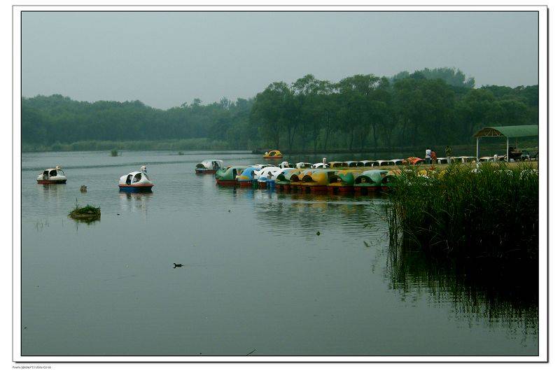 DSCF2630.jpg