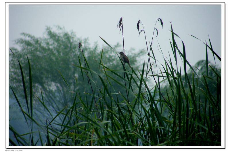 DSCF2627.jpg