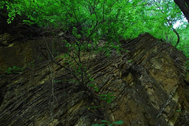 С DSC_0447.JPG