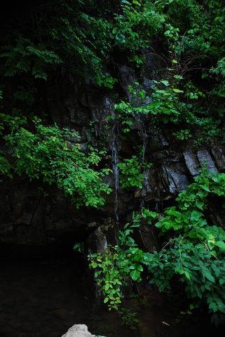 С ת DSC_0407.JPG