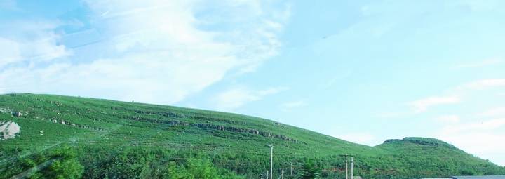 СDSC_0084.jpg