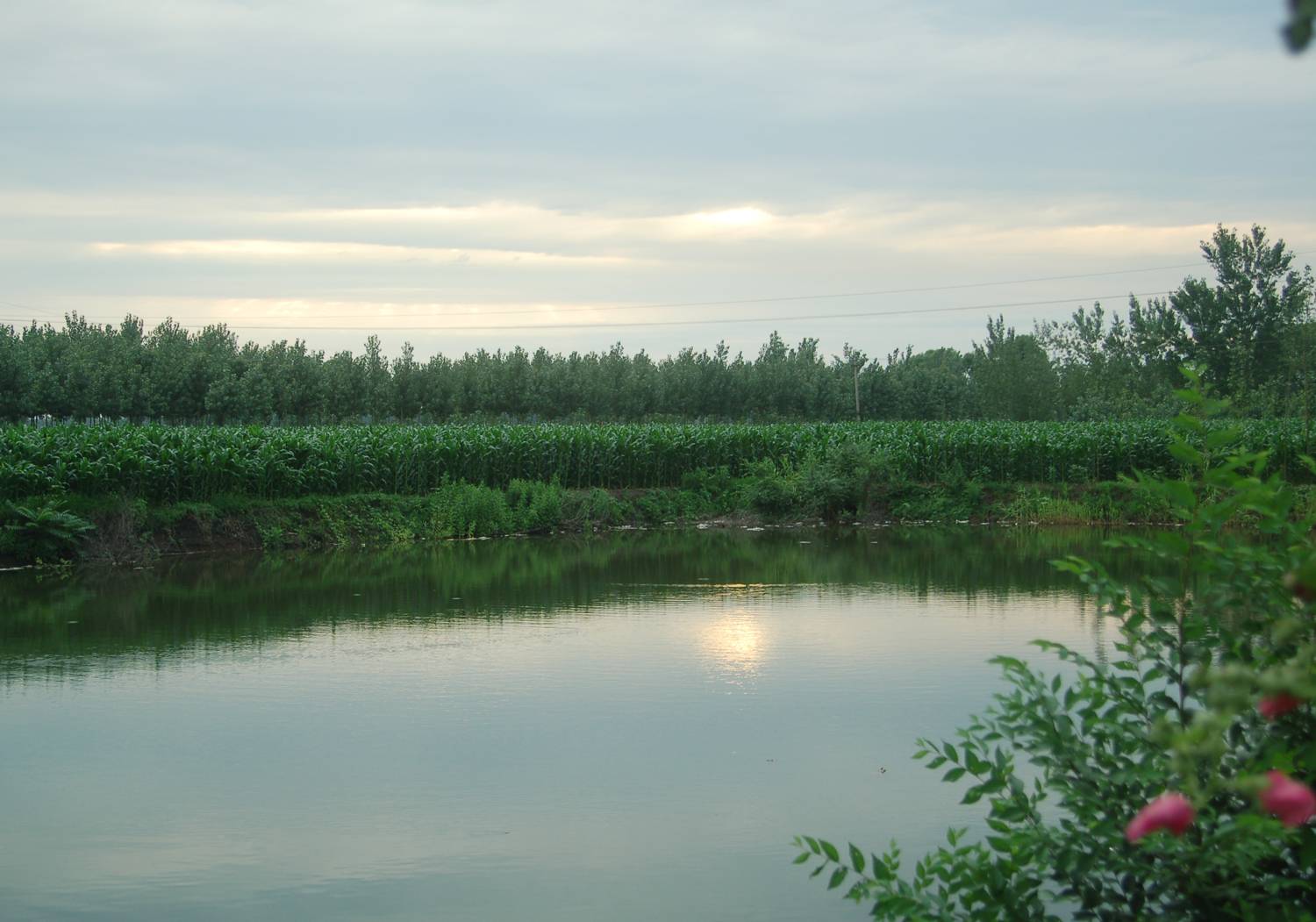 DSC_0244 .jpg