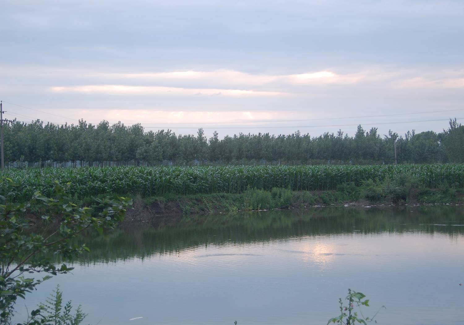 DSC_0241 .jpg