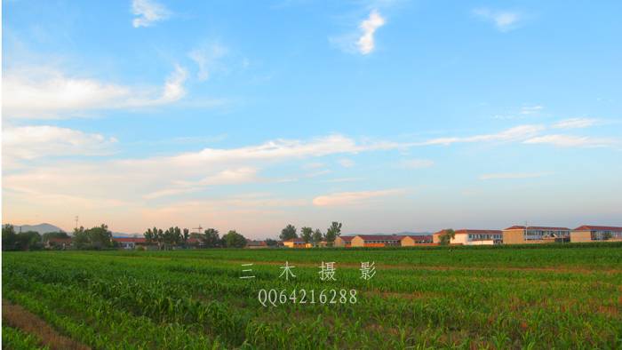 20080706_c78f8cd345779a564876noRO3E9DZXUf.jpg