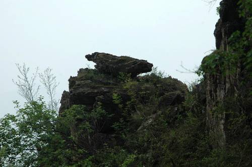 DSC_6536.jpg