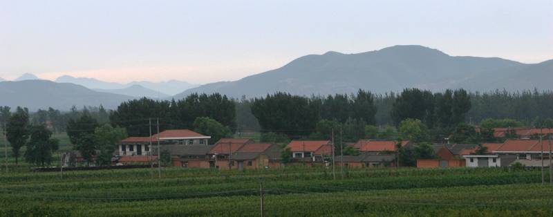 IMG_9701.jpg