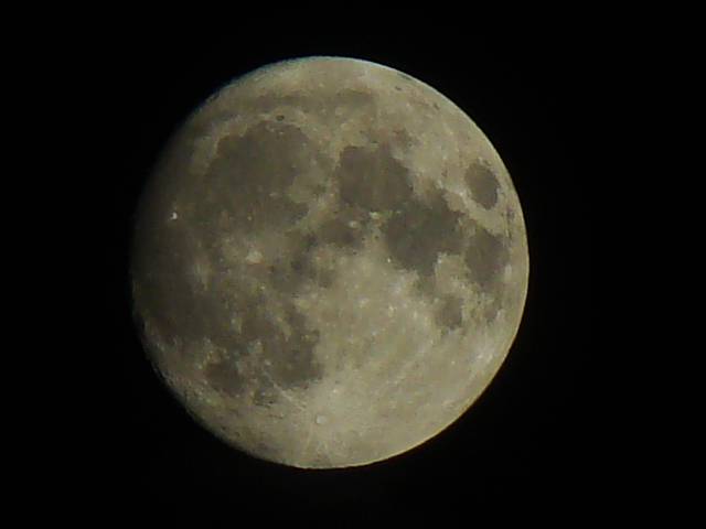 DSC01902.JPG