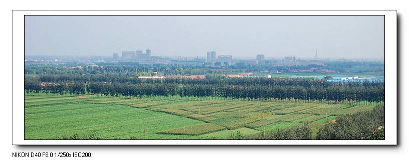 05.JPG