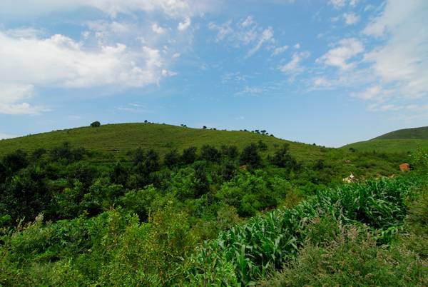 DSC_5020.jpg