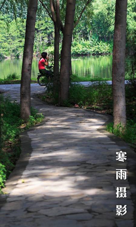 _MG_1120.JPG