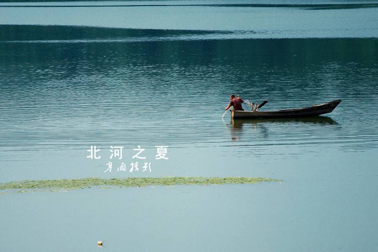 _MG_1317.JPG