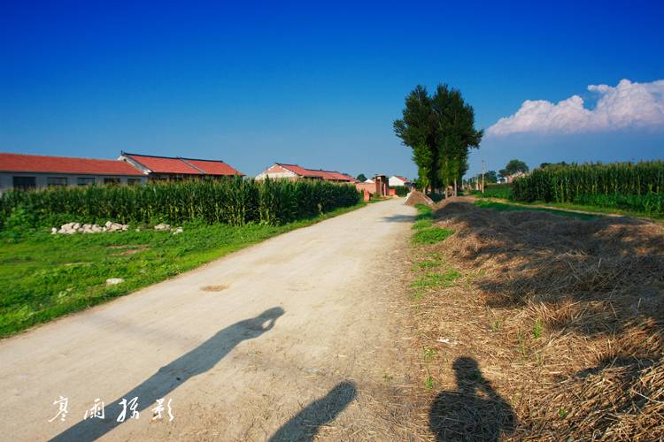 _MG_1480.JPG