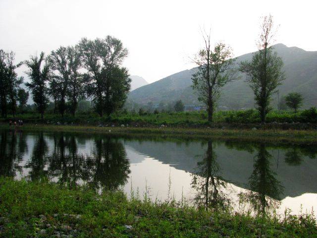 IMG_1685.jpg