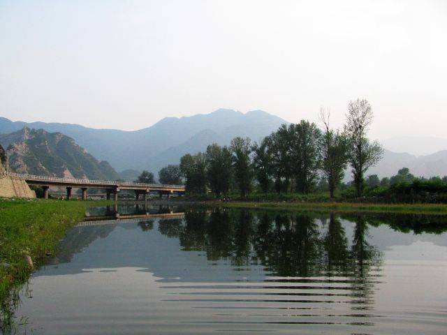 IMG_1684.jpg