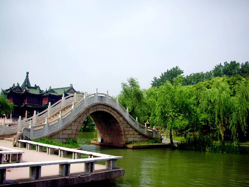 2007611.jpg