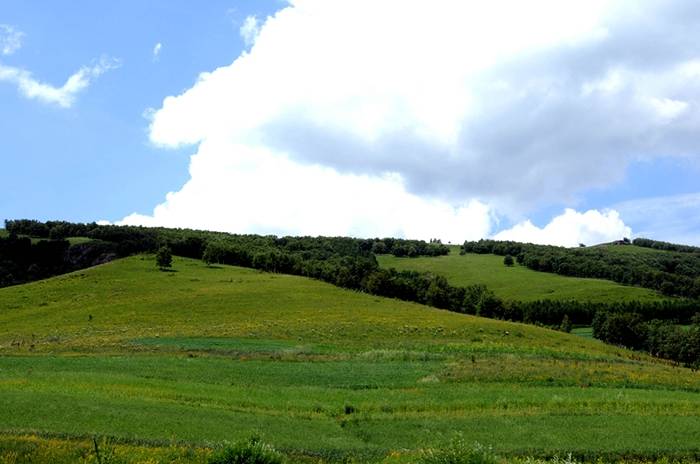 20080724_23969f407e6c9ec8d775yljc8R04Z9Ll.jpg