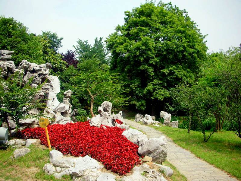 2007613.jpg