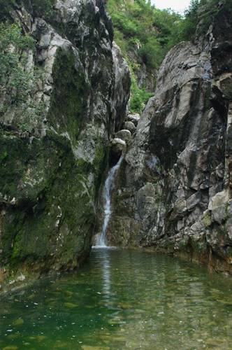 DSC_0338.jpg