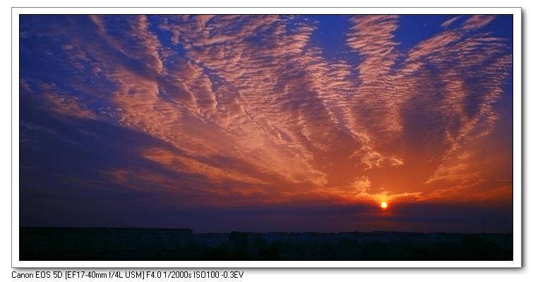 IMG_8423.JPG