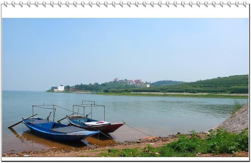 P1010103.jpg