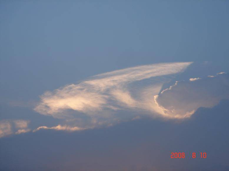 DSC05215.JPG