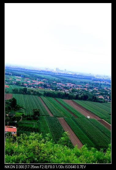 Ƭ 046.jpg